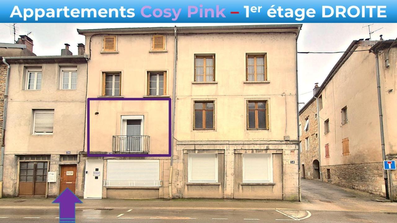 Appartement Cosy Pink Salins Les Bains Buitenkant foto